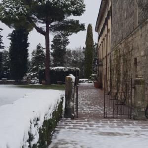 Borgo Pignano 2019, Volterra (PI) (In corso d'oper