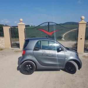 Cantine Monterosola, Volterra (PI) (In corso d'ope