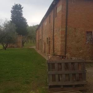 Pieve di San Bartolomeo, Ghizzano di Peccioli (PI)