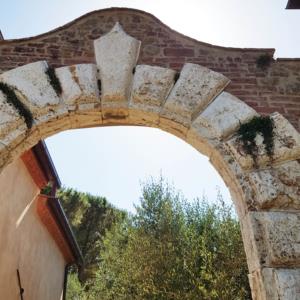 Podere i Mandorli, Cedri (PI) (Il turistico ricett