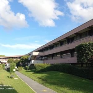 Condominio Bolgherello, Marina di Bibbona, Livorno