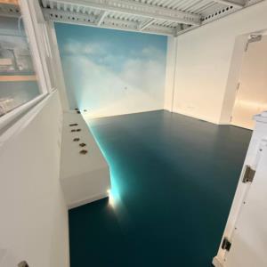 Freezanz System, pavimentazione e pitture (In corso d'opera)