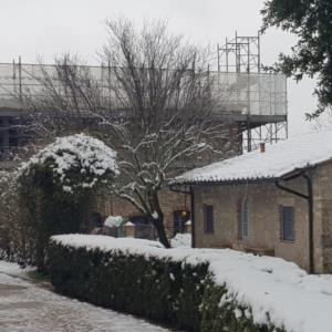 Borgo Pignano 2019, Volterra (PI) (In corso d'oper
