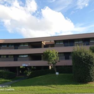 Condominio Bolgherello, Marina di Bibbona, Livorno